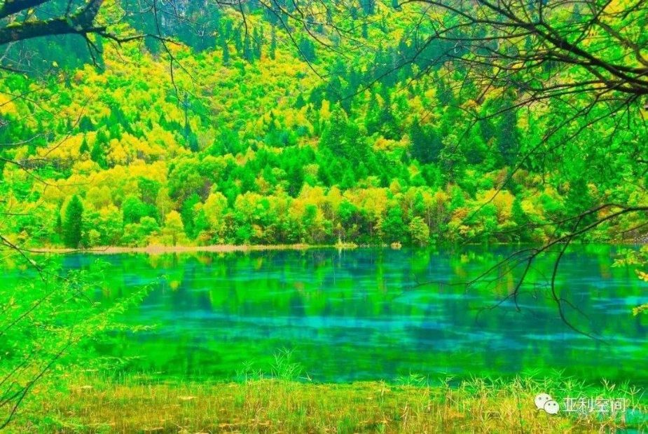 夏日时尚的爱丽