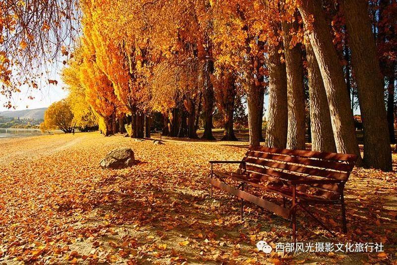 我是一名大学生，因为疫情在家没有学习，开学怕挂科，我可以主动申请留级么？学校同意的可能性大吗？游戏画面