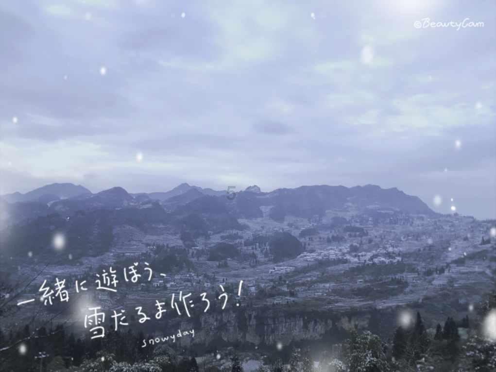 救援七星瓢虫