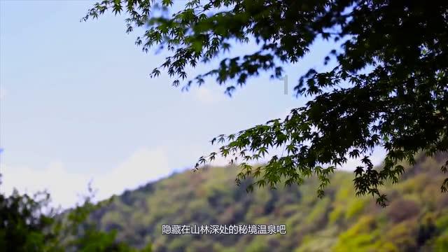 天津帮扶老字号有实招