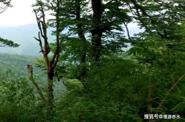 仙剑世界交易怎么玩