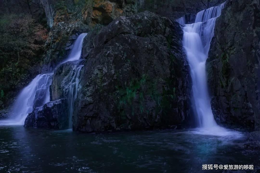 植物大战僵尸13
