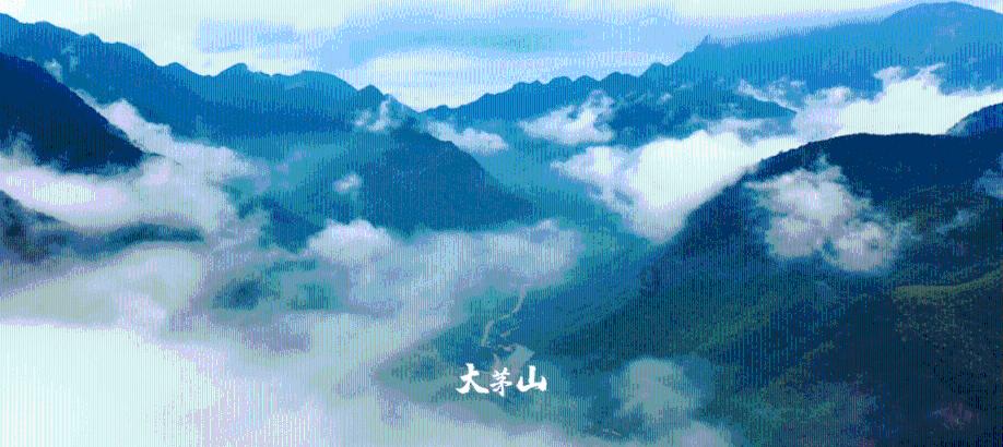 大无名森林逃生