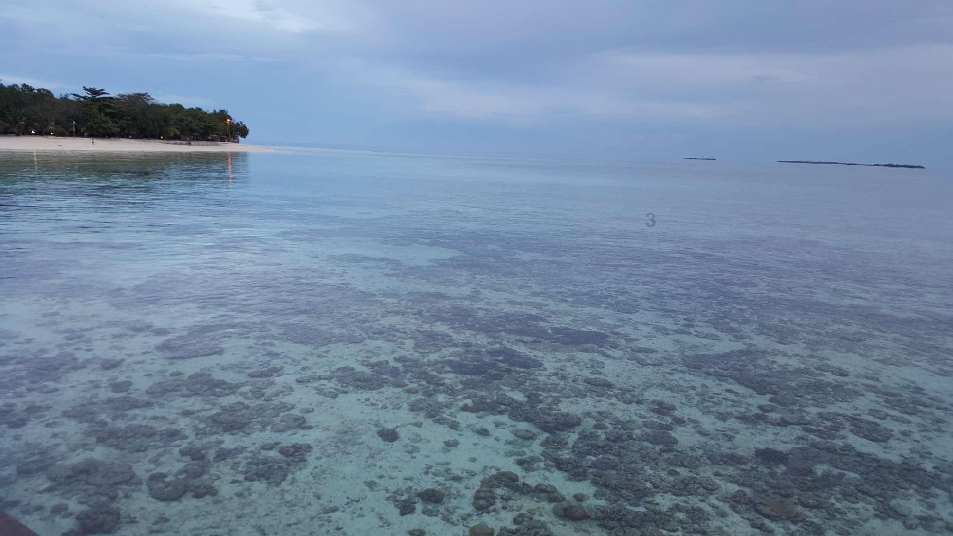 夏季热带海滩逃生