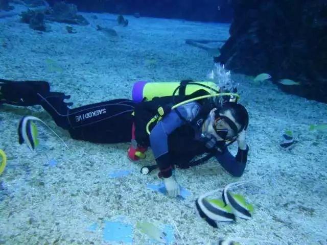 熊出没夺宝历险