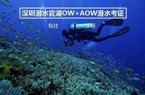 全民烧脑3去广告版