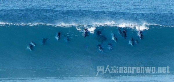 新仙剑奇侠传