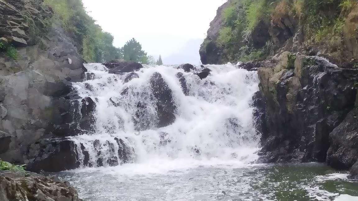 救援花栗鼠
