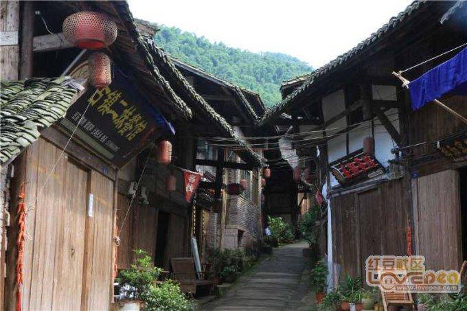 刚上市时产量高价低,元旦后价格回涨