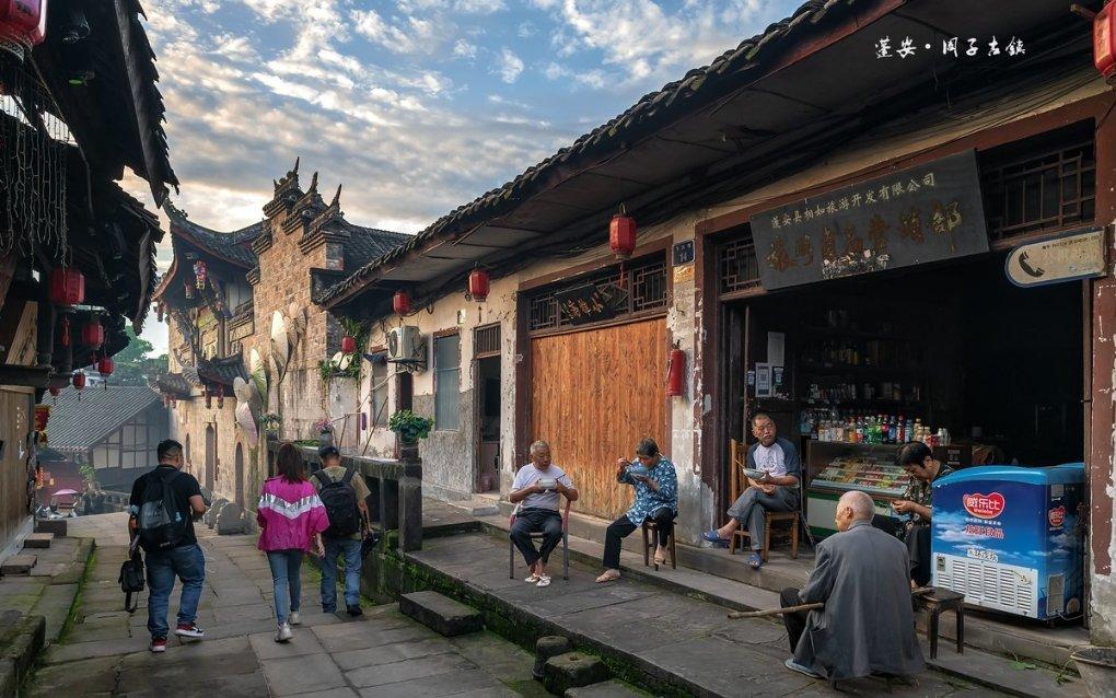 破碎的动物图形