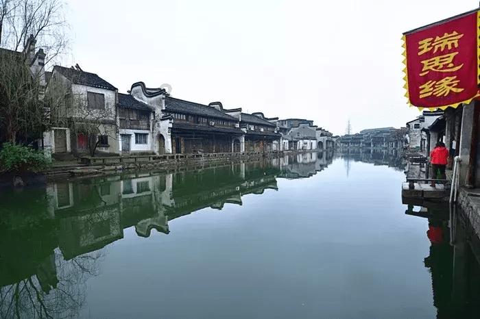 杜宾拼死拽着金毛,就怕它去招惹别的狗,网友:一看就是情敌啊!